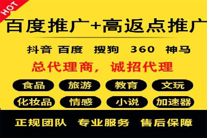 网络推广中的竞价广告：成功案例解析